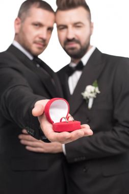 homosexual couple showing wedding rings clipart
