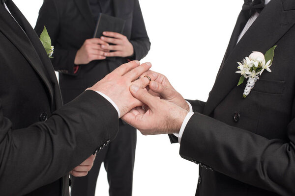homosexual couple exchanging rings at wedding