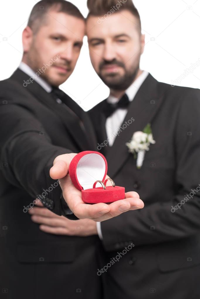 homosexual couple showing wedding rings