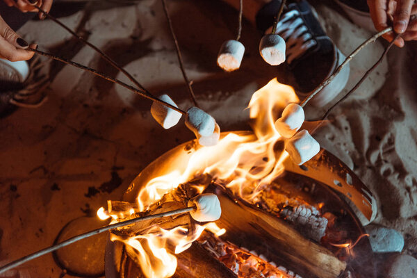 friends roasting marshmallows on bonfire