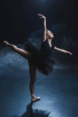 ballet dancer clipart