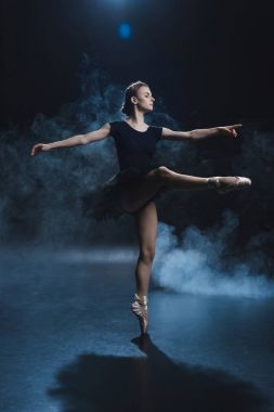 ballerina in black tutu clipart