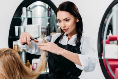 cropped image of attractive hairdresser trimming ends of hair  clipart