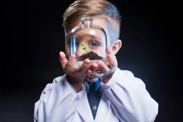 Little boy holding plant — Stock Photo