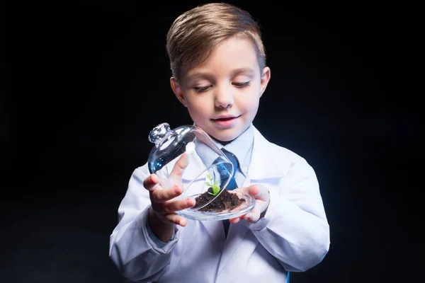 Kleiner Junge hält Pflanze — Stockfoto