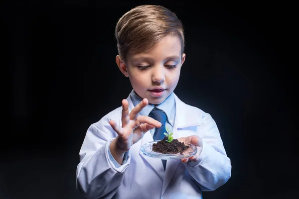 Kleiner Junge hält Pflanze — Stockfoto