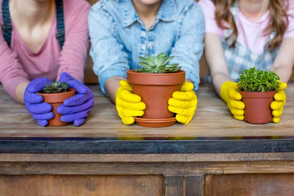 Frauen mit Pflanzen in Blumentöpfen — Stockfoto