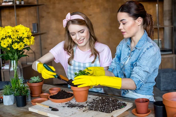 Les femmes plantant des fleurs — Photo de stock