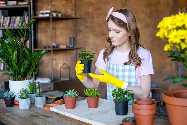 Femme tenant plante en pot de fleurs — Photo de stock