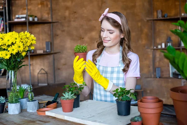 Femme tenant plante en pot de fleurs — Photo de stock