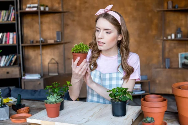 Donna che tiene pianta in vaso da fiori — Foto stock