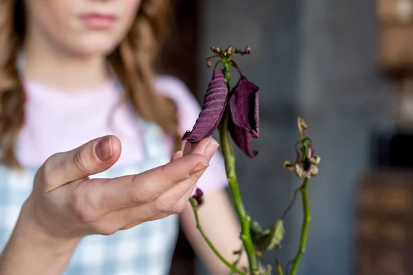 Mulher tocando planta — Fotografia de Stock