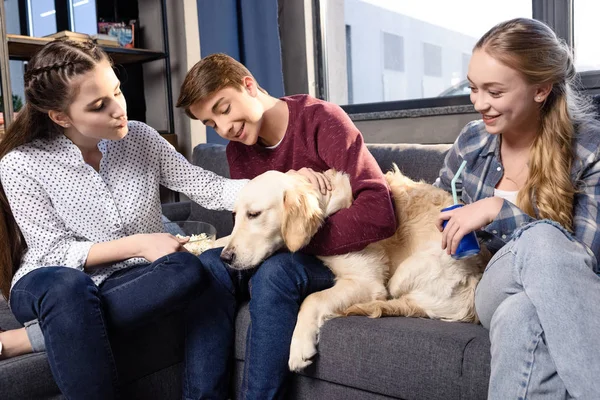 Teenagers with golden retriever dog — Stock Photo