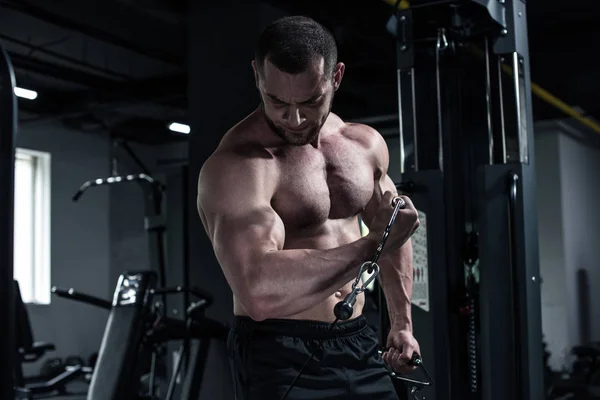 Young bodybuilder doing biceps workout — Stock Photo
