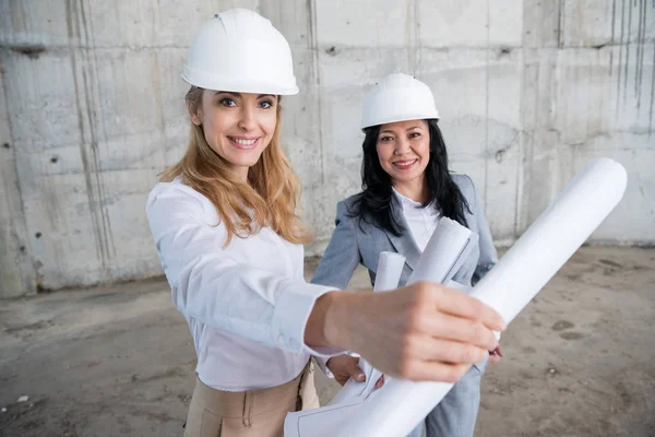 Arquitectos profesionales trabajando - foto de stock