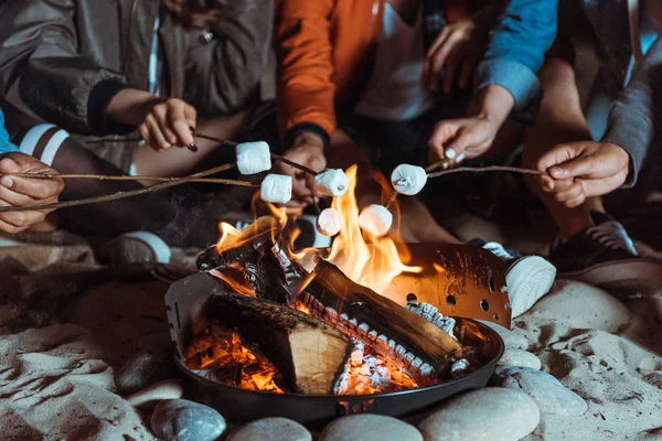 Amigos tostando malvaviscos en hoguera - foto de stock