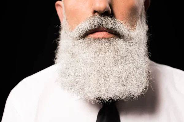 Beard — Stock Photo