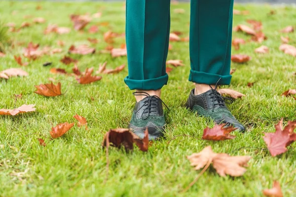 Ноги на газоне с осенней листвой — стоковое фото