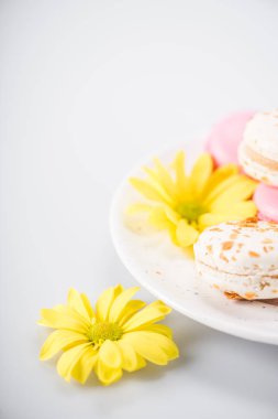 Macarons ve sarı çiçek