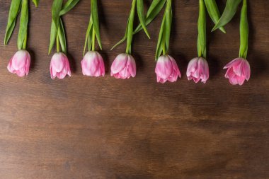 pink tulips on table clipart