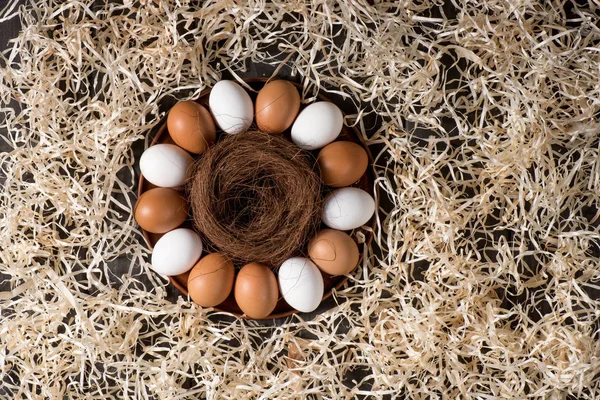 Huevos de pollo y nido — Stock Photo
