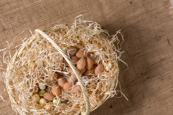 Quail eggs in basket — Stock Photo