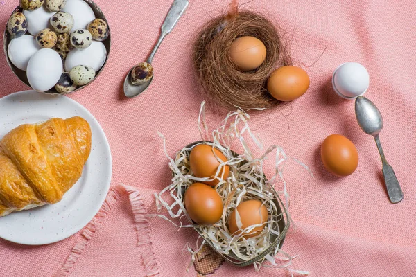 Pollo y huevos de codorniz - foto de stock