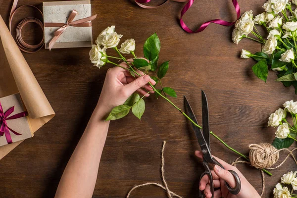 Hands cutting roses — Stock Photo