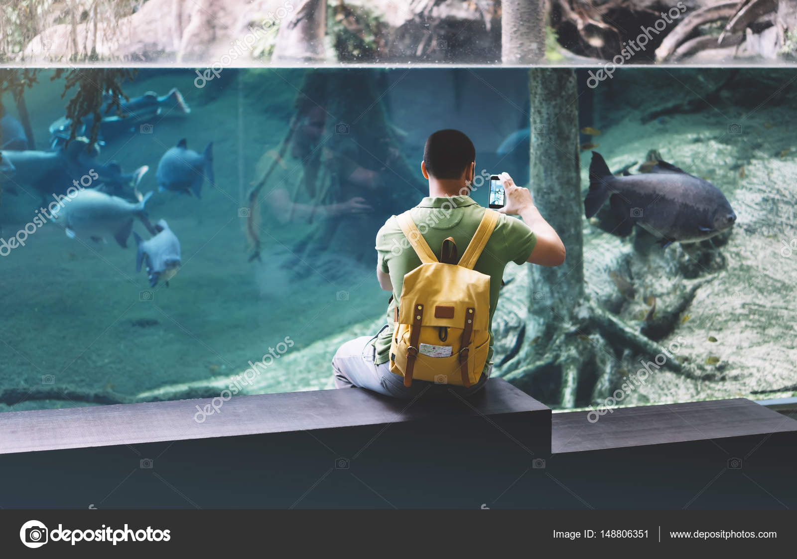 Unduh 460 Background Aquarium Polos Terbaik