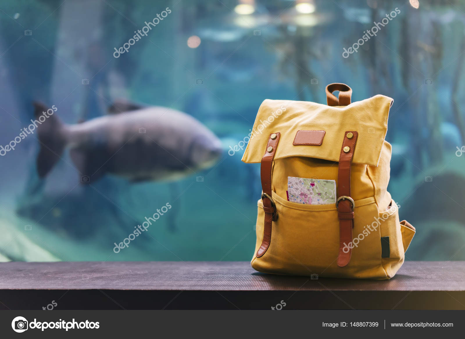 Tourist Bag On Background Blue Sea Aquarium Stock Photo Image By C Savenkomasha Gmail Com 148807399