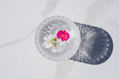 Beyaz arka plan ve bardağın içinde yapraklar var.