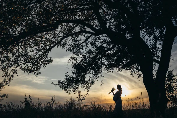 Silhouet van een zwanger meisje onder een boom — Stockfoto