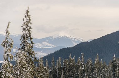 Dağlar, kışın bulutlar yalan mo üst kısımları yukarıda