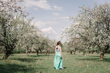 Elma ağacı arasında çiçekli elma bahçesi bahar kız