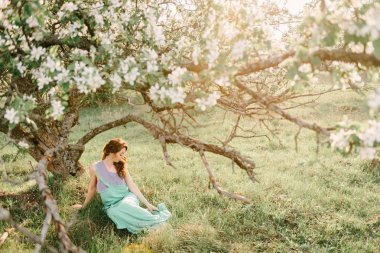 Bir çiçekli elma bahçesi bahar bir kız cro altında oturur