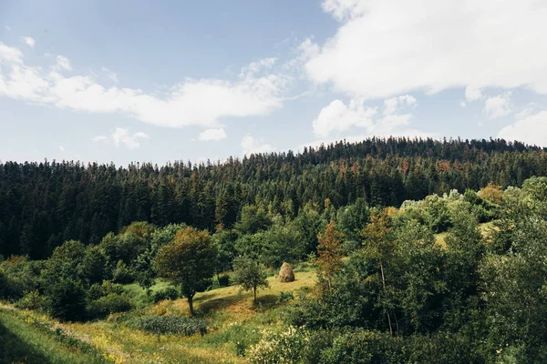 Reis naar de bergen — Stockfoto