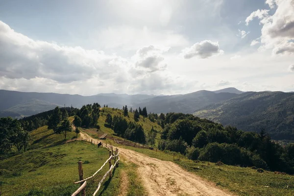 A hegy tetejére vezető út — Stock Fotó