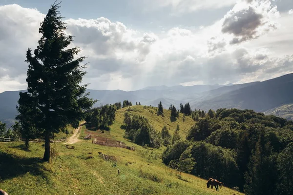 Estrada que leva ao topo da montanha — Fotografia de Stock