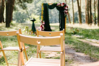 Bir yaz günü yeşil bir ormanda düğün, konuklar için ahşap sandalyeler
