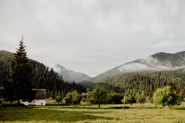 뒤덮인 언덕에 구름으로 뒤덮인 산봉우리와 산강으로 뒤덮인 골짜기를 배경으로 과일나무를 — 스톡 사진