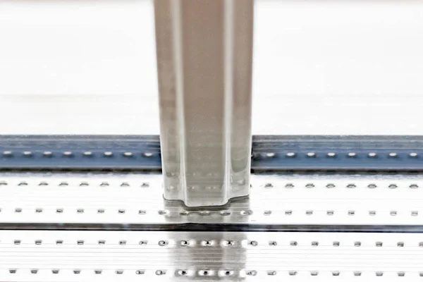 Beyaz lahanalı çift cam parçası.