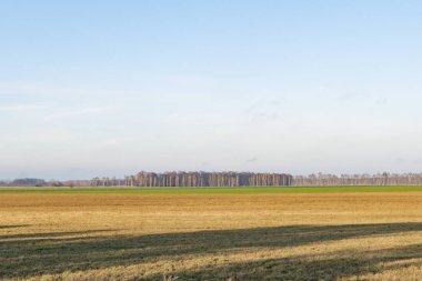 Şehrin dışındaki bulutlu gökyüzünün görüntüsü.