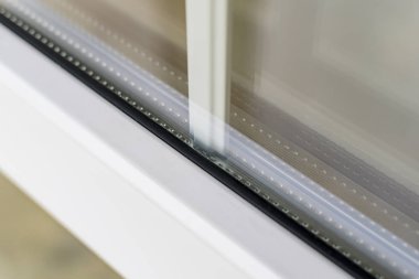 Beyaz lahanalı çift cam parçası.