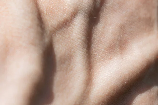 Fragment Human Body Skin Veins — 스톡 사진