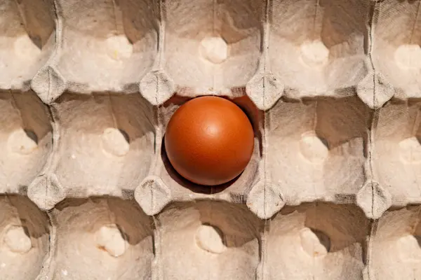 Tray of eggs with one egg