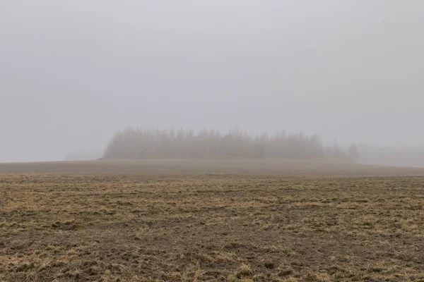 Forêt d'automne le matin dans le brouillard — Photo