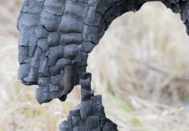 Kötü yanmış bir kütük görüntüsü