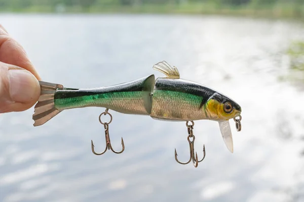 Fishing tackle in the form of fish with hooks