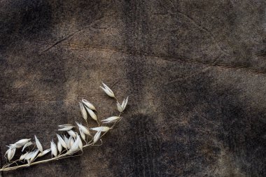 Dekoratif bir arka planda tahıl kulağı görüntüsü