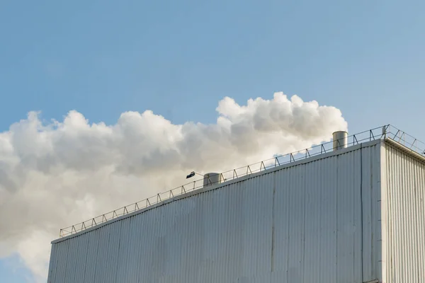 White smoke from the production room — ストック写真